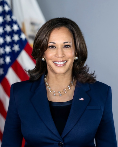 Election 2024: Vote for Kamala Harris